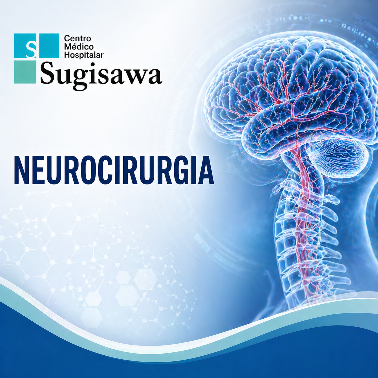 neurocirurgia